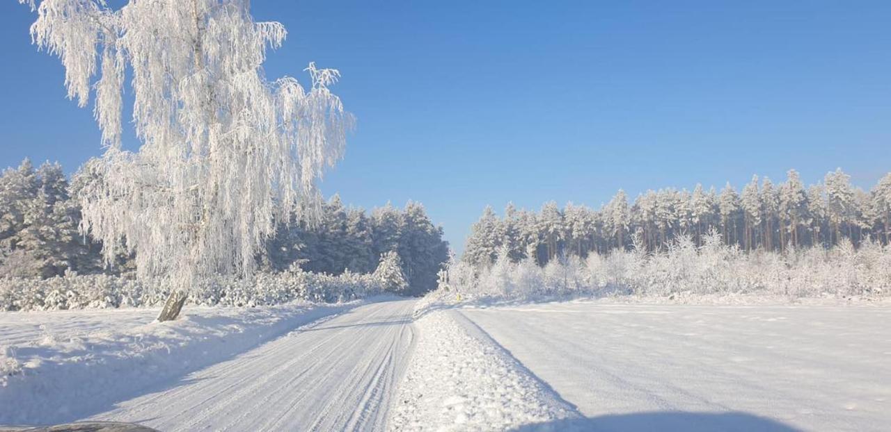 Ostoja Bukowo 12,2 Chata U Szoltesa Borowy Mlyn エクステリア 写真